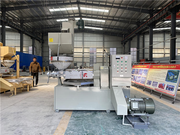 Mini cold peanut coconut oil pressed machine small oil pressers Oil