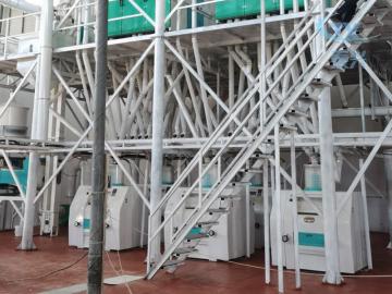60 T/D Wheat Flour Milling Plant 