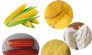 Maize/corn multiple product processing technology