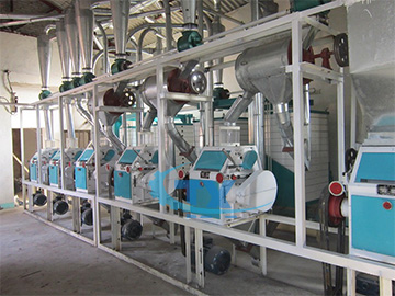 20-30 T/D Wheat Flour Milling Plant