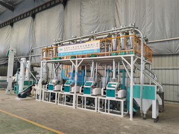 20-30 T/D Maize/Corn Milling Plant