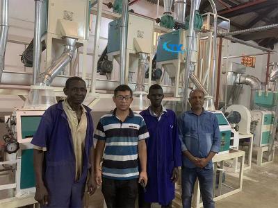 15 tpd Maize Meal machine in Uganda
