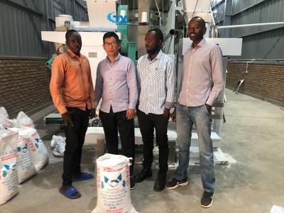 30 tpd Maize flour milling machine in Rwanda