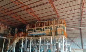 50 T/D Maize/Corn Milling Plant installed in Republic of the Congo