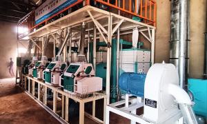 China Grain Flour Mill Manufacturer Completes Installation of 30 TPD Maize Milling Plant in Nigeria