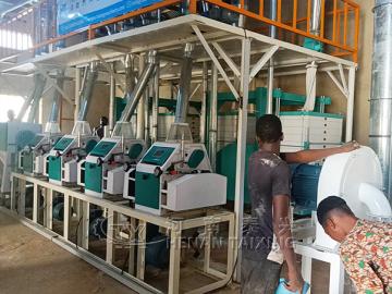 30 TPD Maize Flour Mill Plant in Nigeria