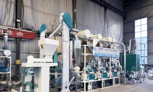 15 tpd Wheat Flour Mill Equipment shipped to Brazil