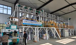50TPD Rice Mill Plant Successfully Installed and Commissioned