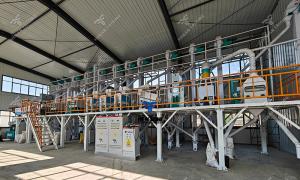 50TPD Rice Mill Plant Successfully Installed and Commissioned