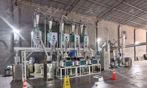 Successful Order from Angola: Complete Maize and Wheat Flour Milling Plants for Local Flour Production