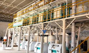 70 Tons of Maize Milling Equipment Successfully Installed and Commissioned in Rwanda